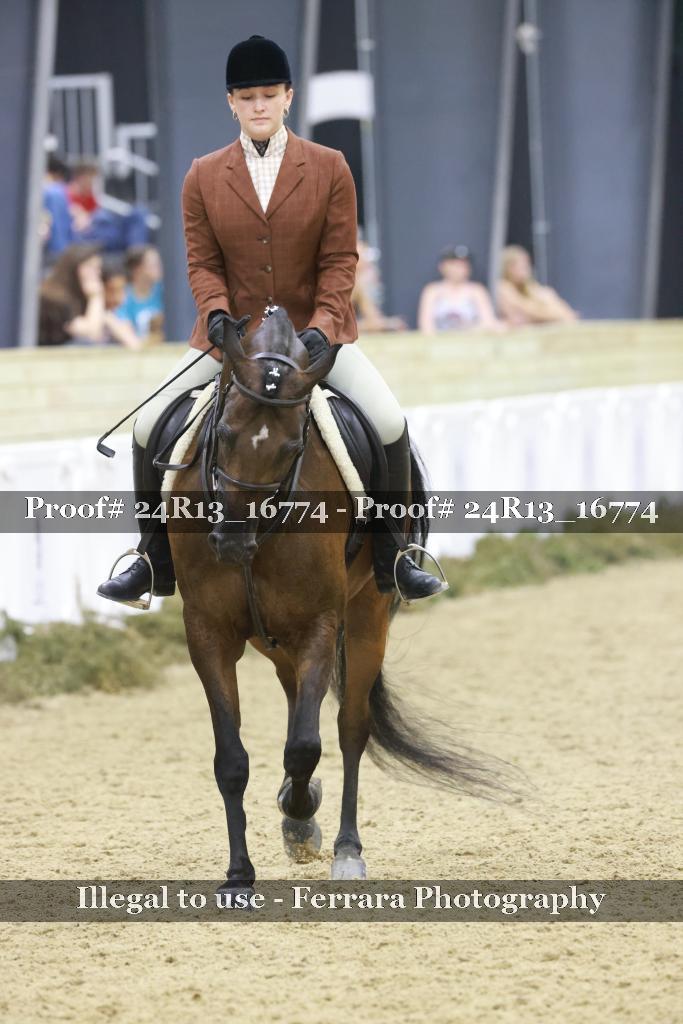 Proof Number 24R13_16774