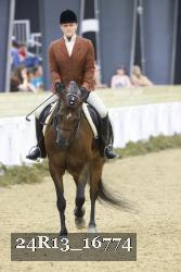 24R13_16774 thumbnail