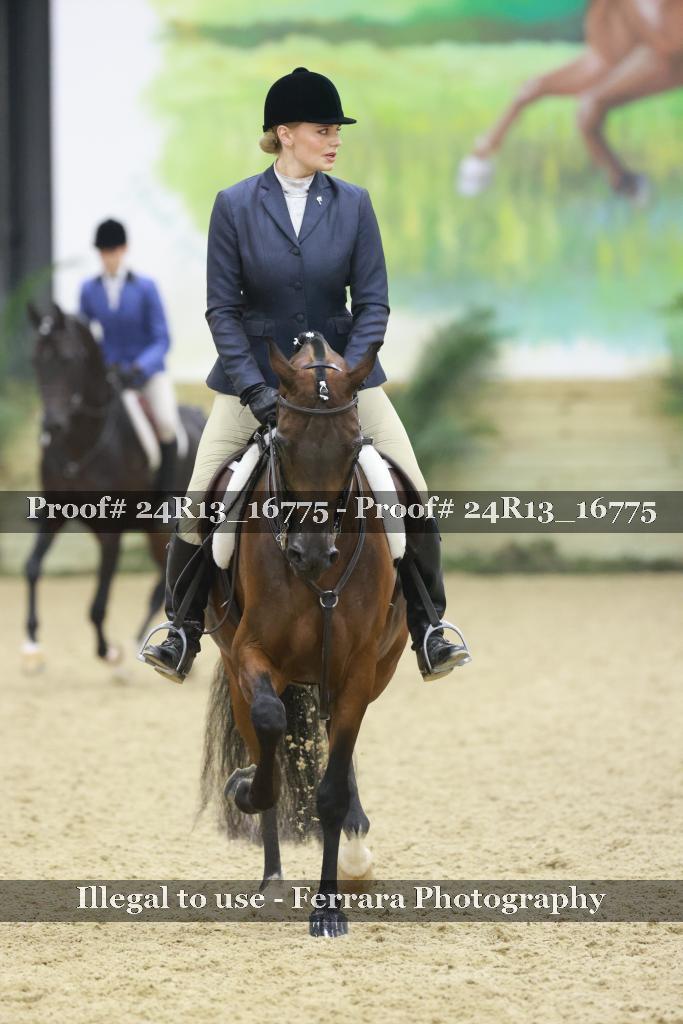 Proof Number 24R13_16775