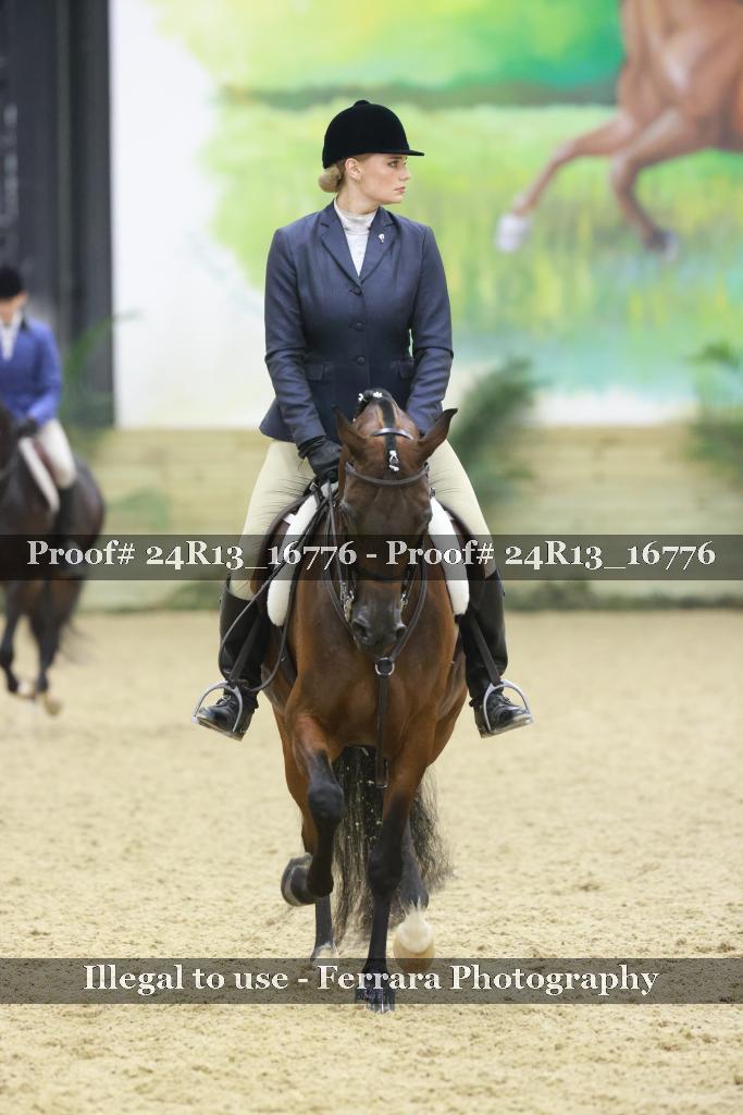 Proof Number 24R13_16776