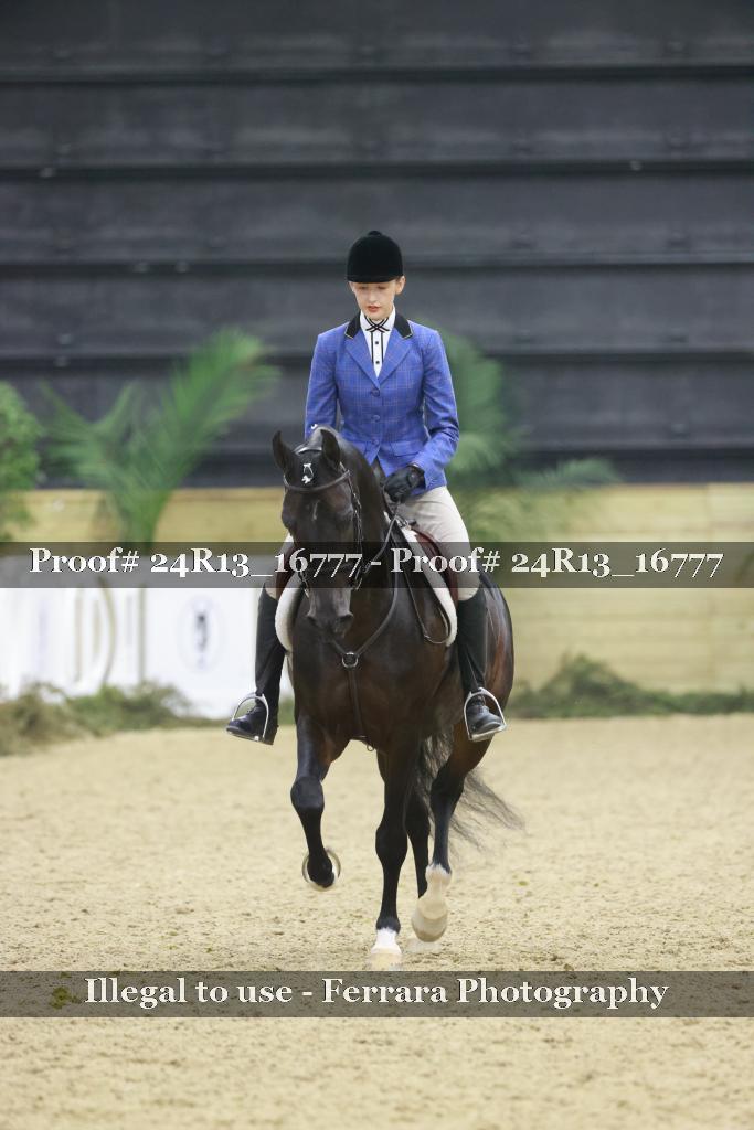 Proof Number 24R13_16777