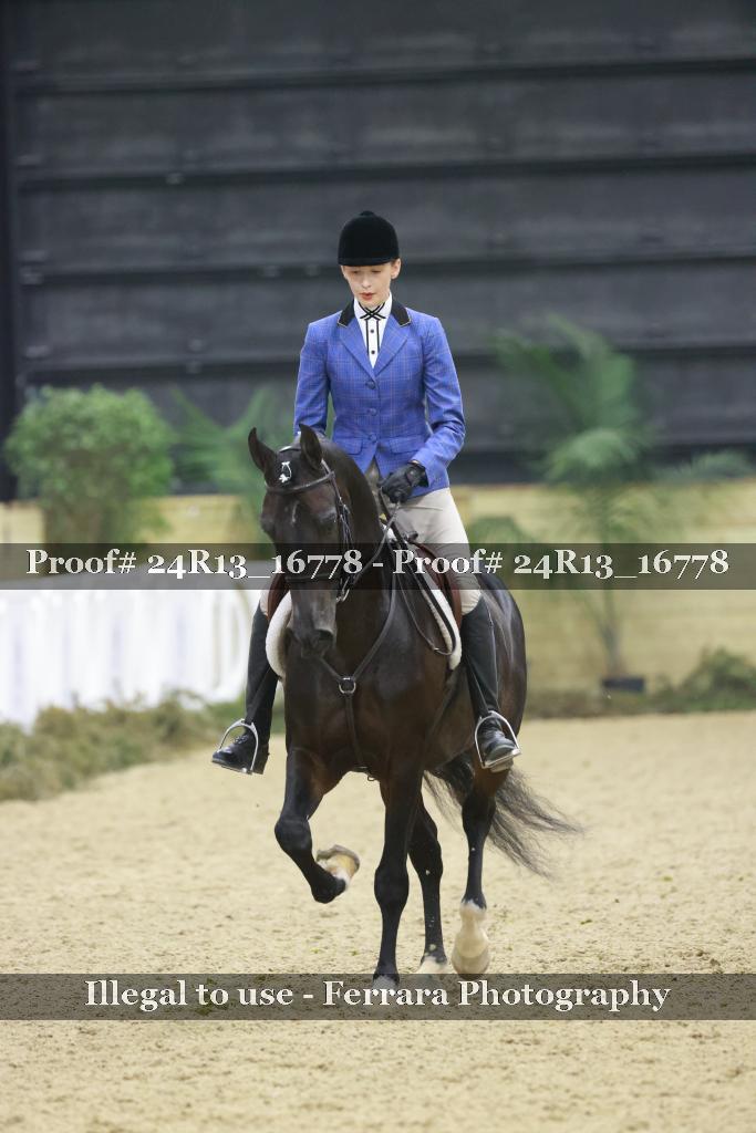 Proof Number 24R13_16778