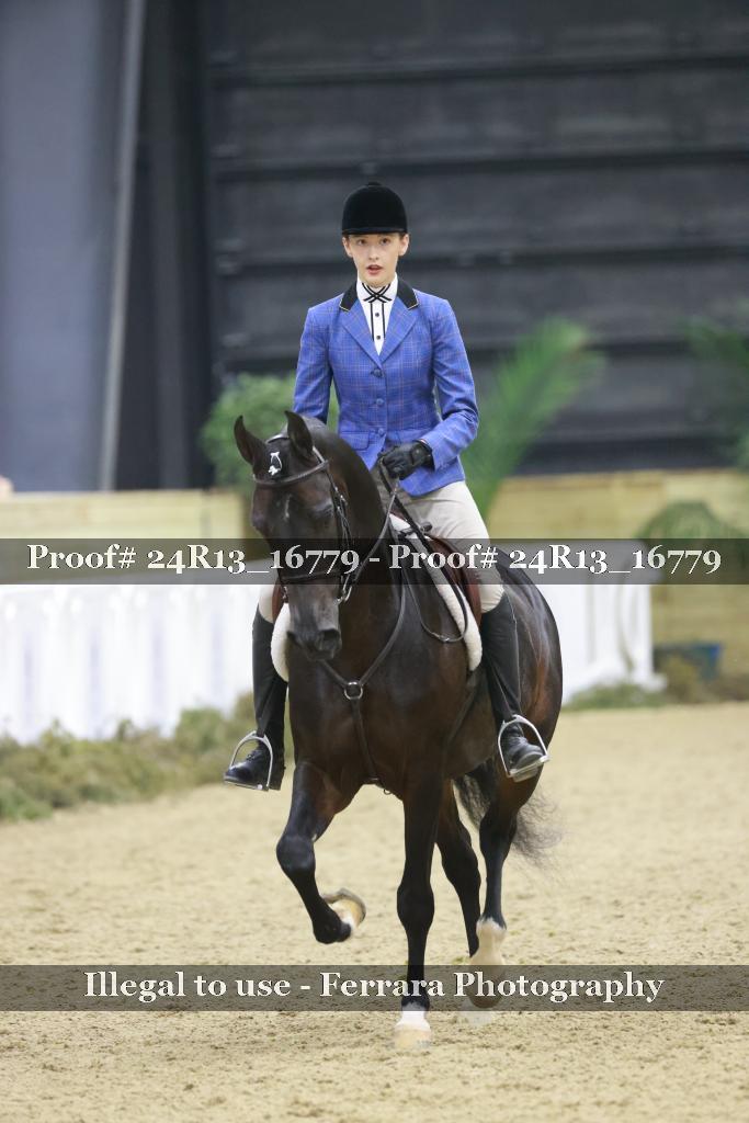 Proof Number 24R13_16779