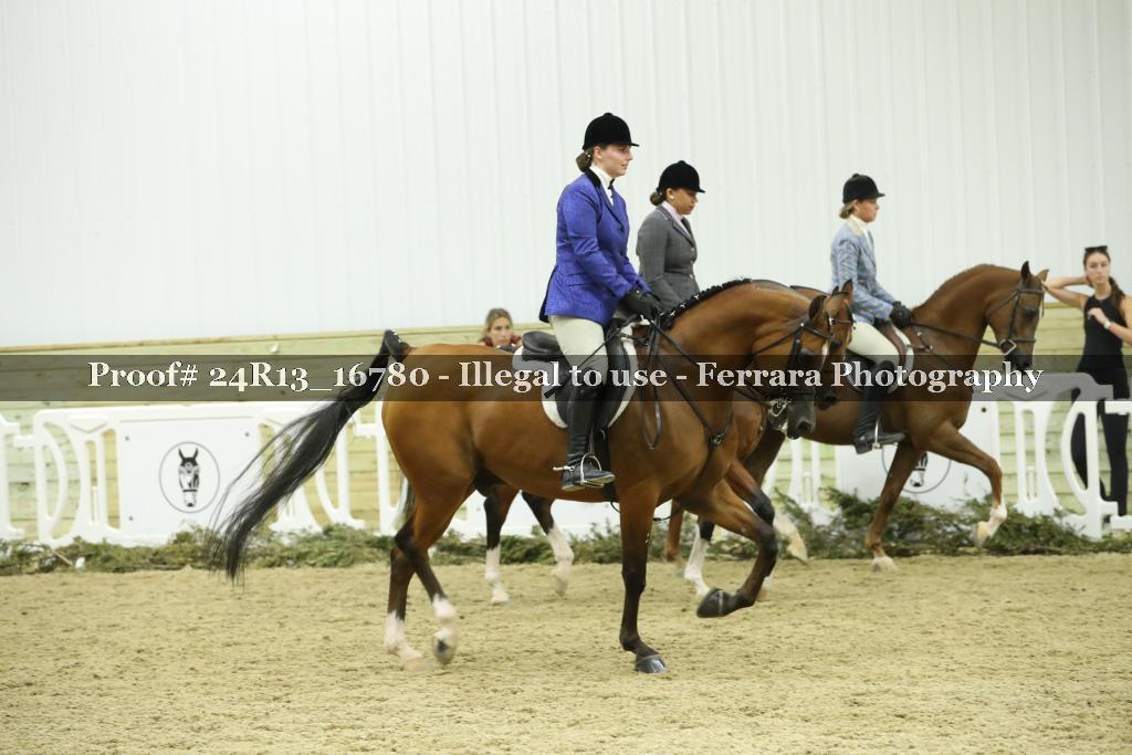 Proof Number 24R13_16780