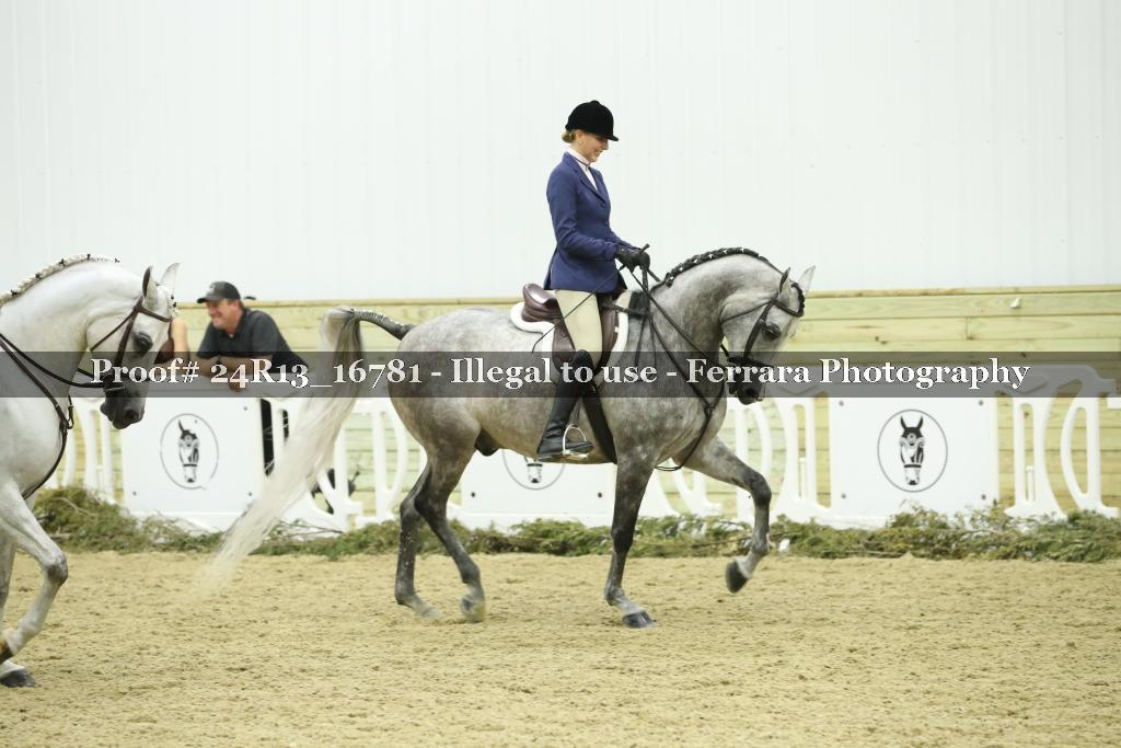 Proof Number 24R13_16781