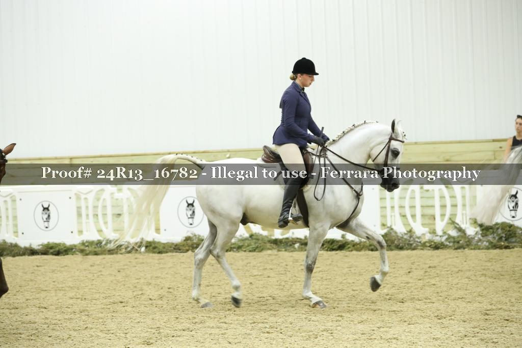 Proof Number 24R13_16782