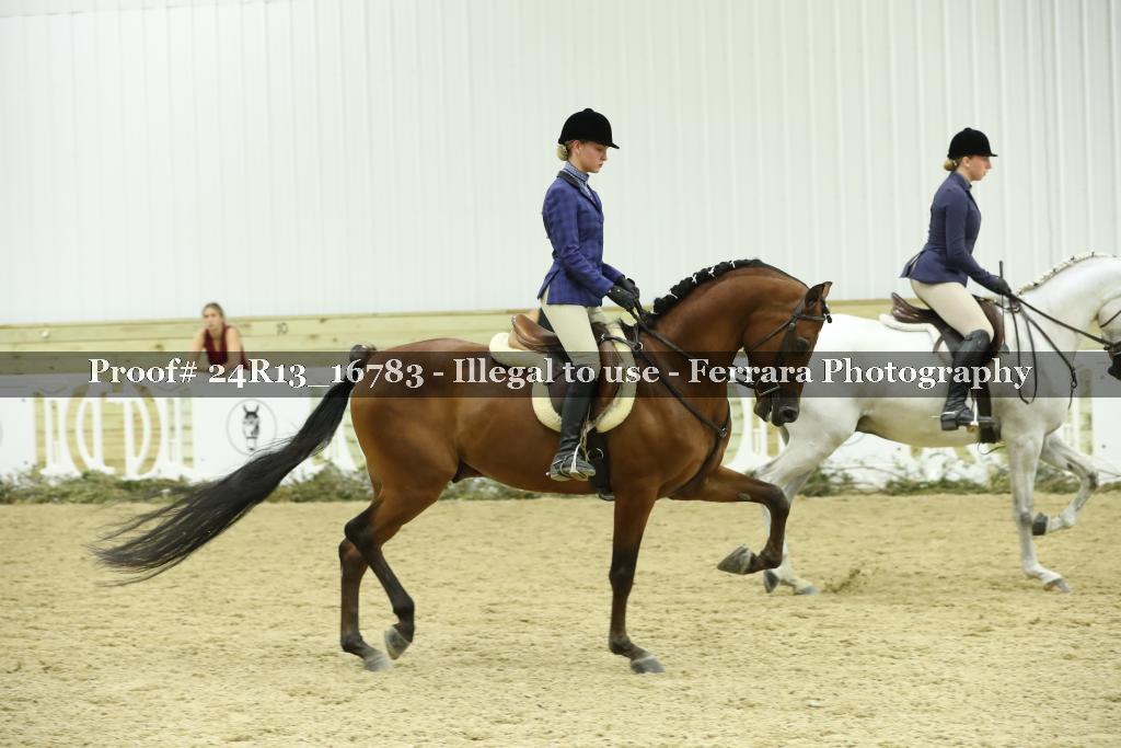 Proof Number 24R13_16783