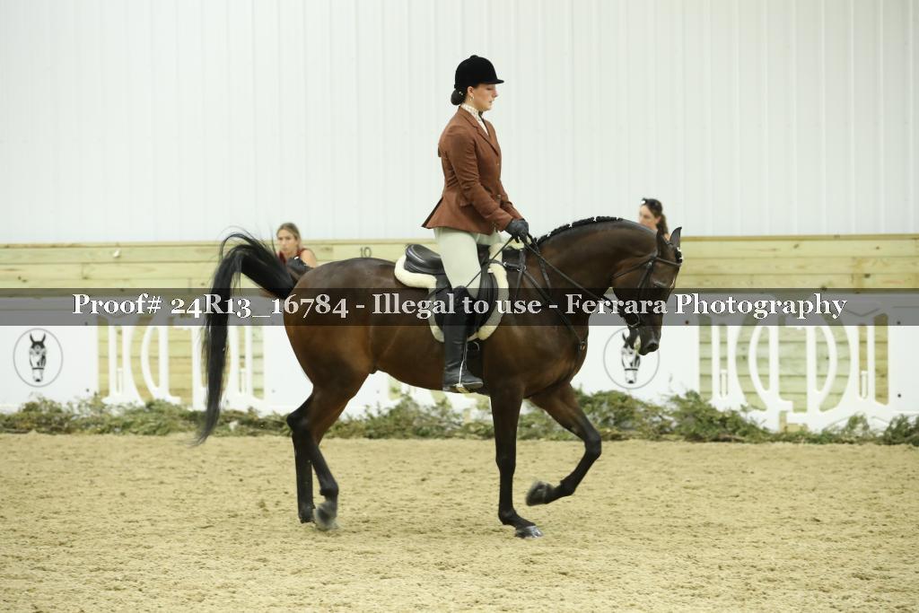 Proof Number 24R13_16784