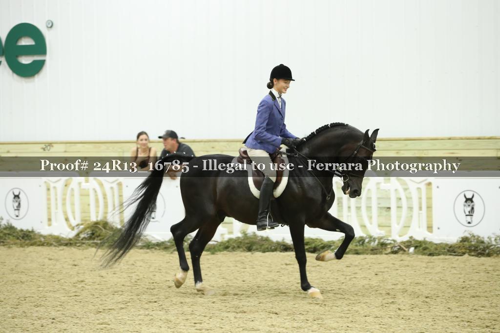 Proof Number 24R13_16785