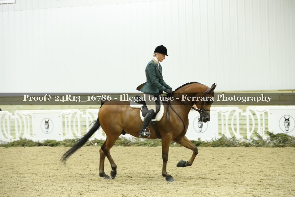 Proof Number 24R13_16786