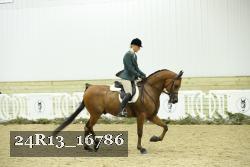 24R13_16786 proof
