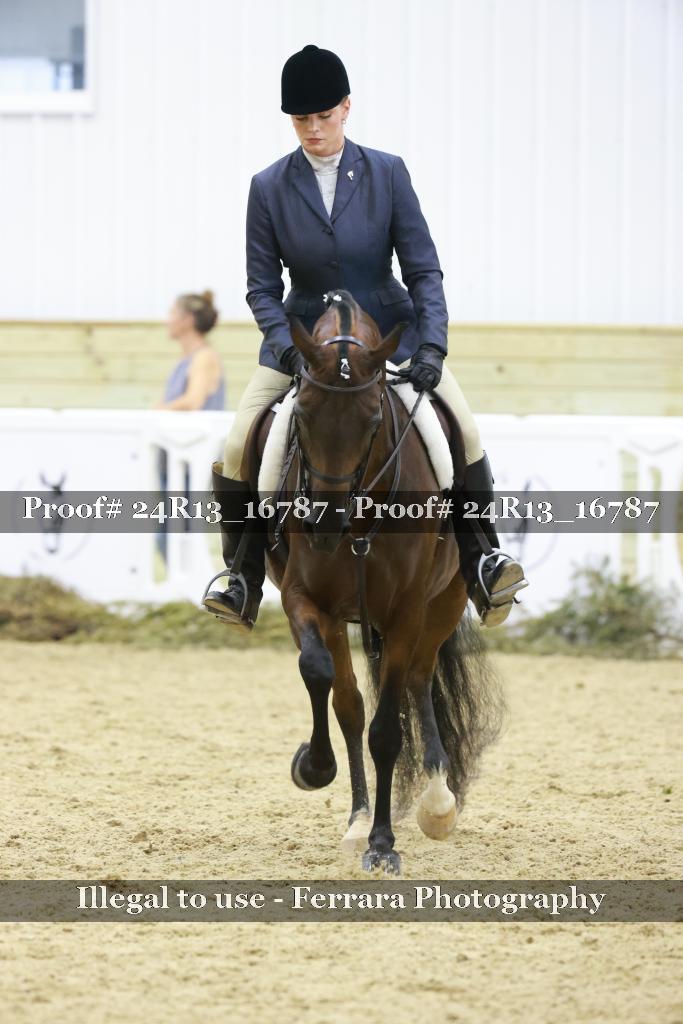 Proof Number 24R13_16787