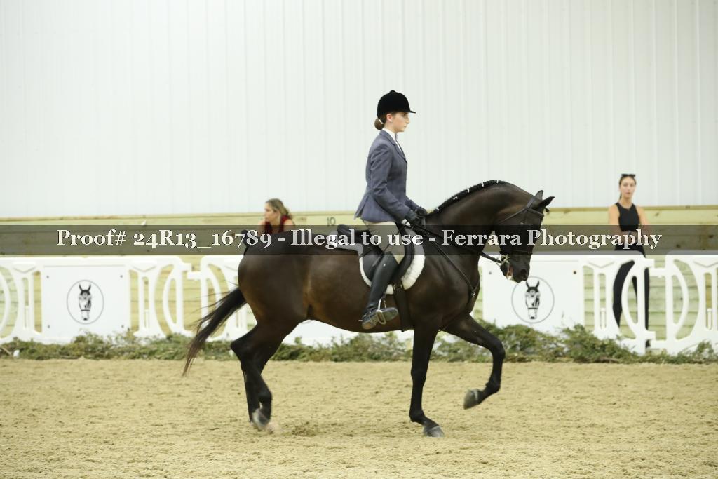 Proof Number 24R13_16789