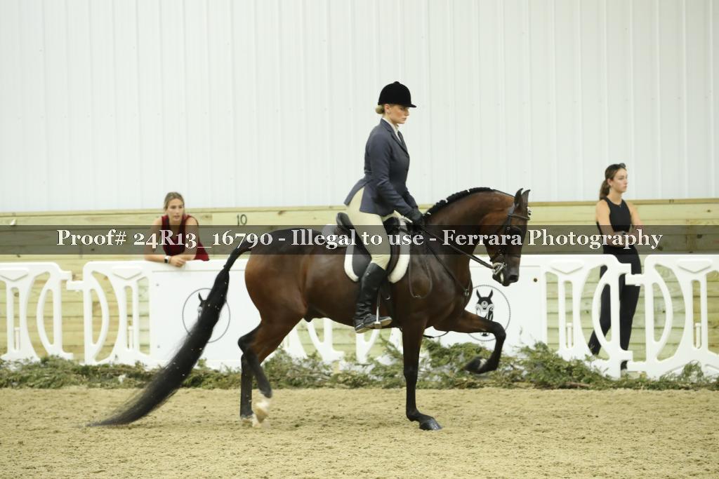 Proof Number 24R13_16790