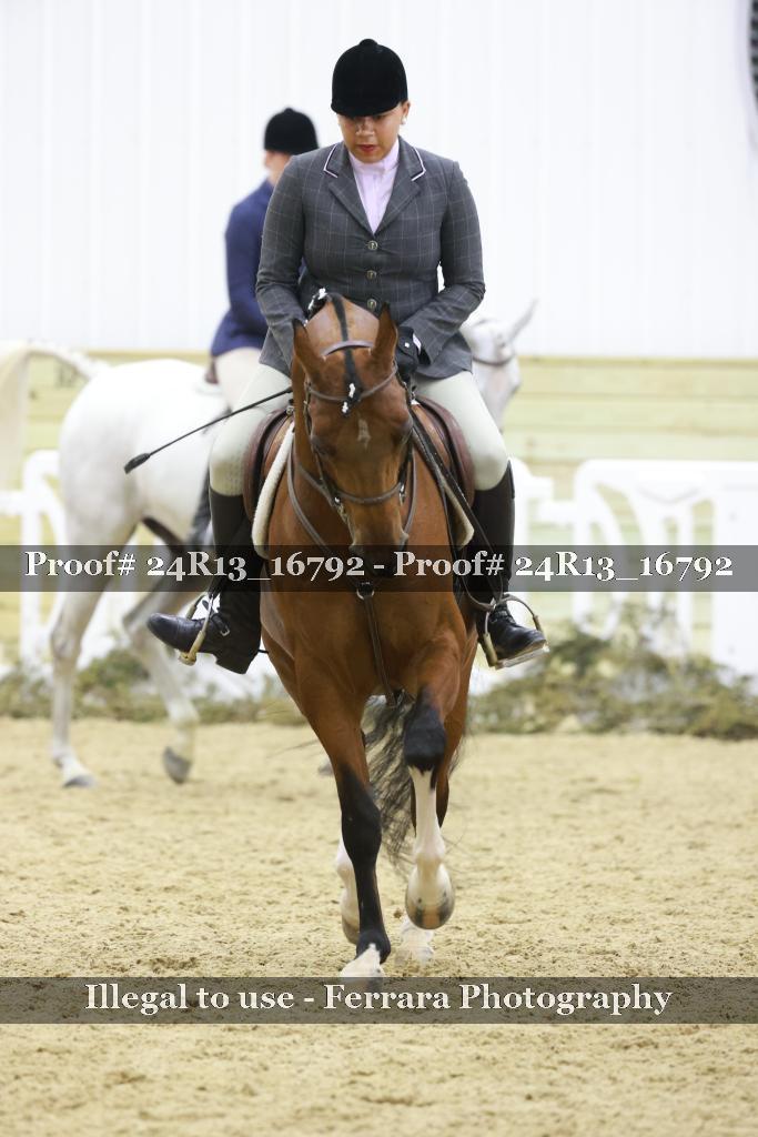 Proof Number 24R13_16792