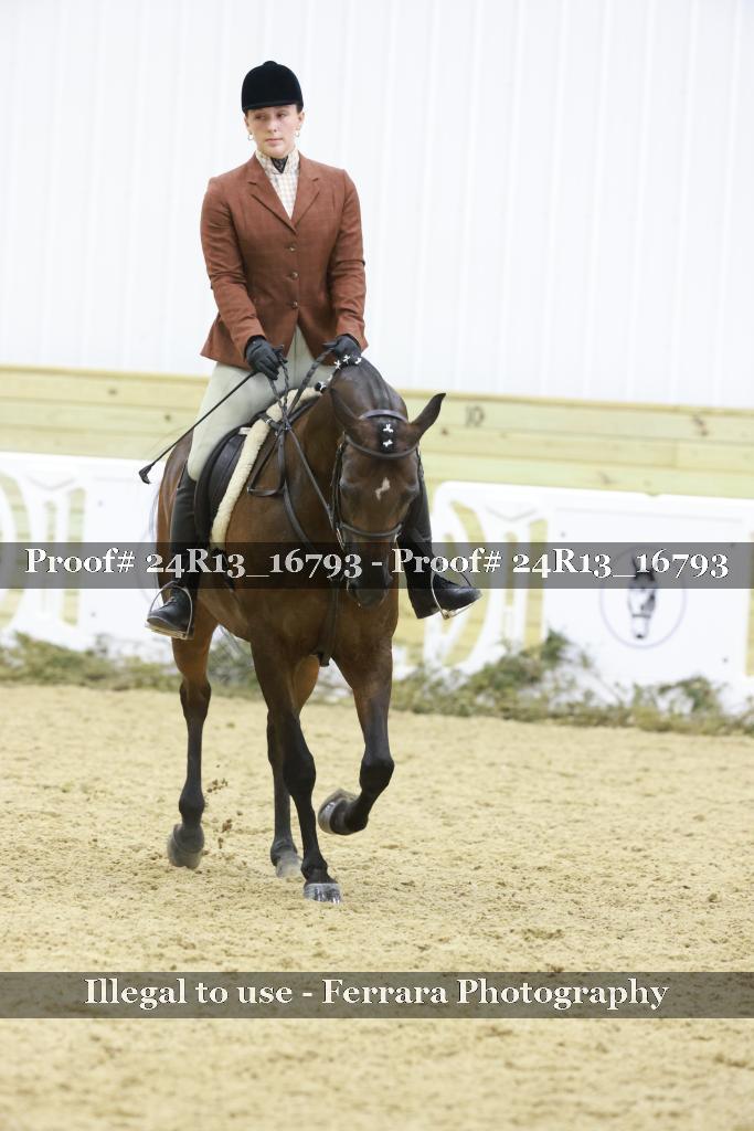 Proof Number 24R13_16793