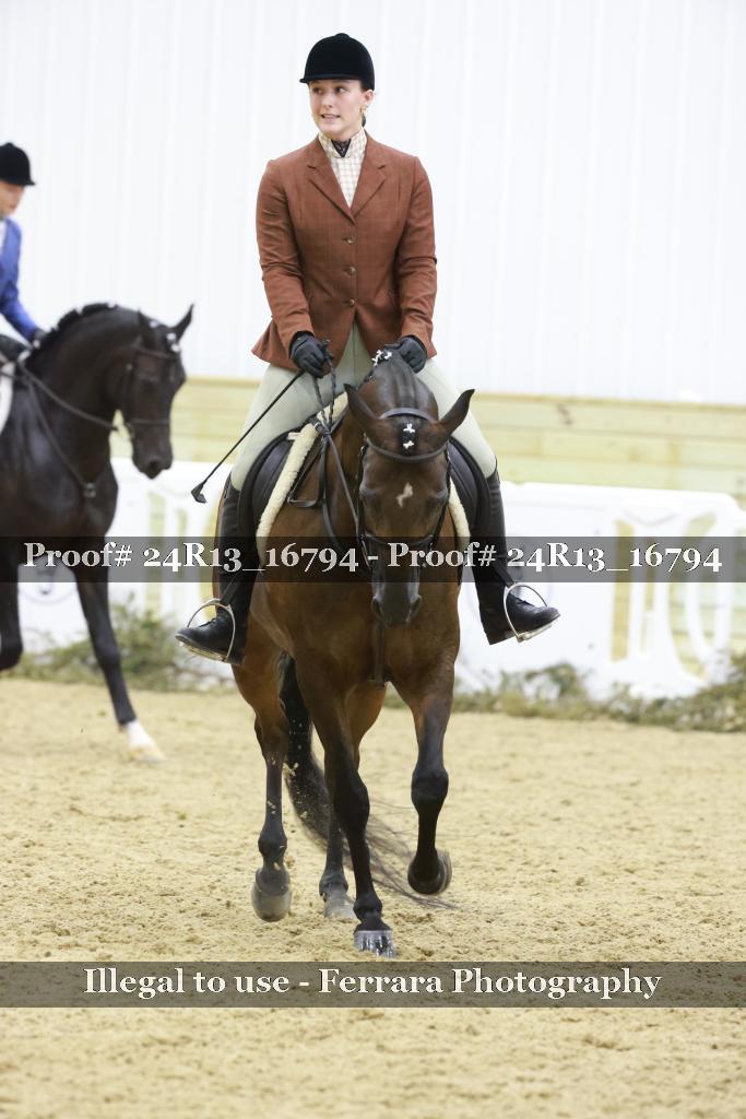 Proof Number 24R13_16794