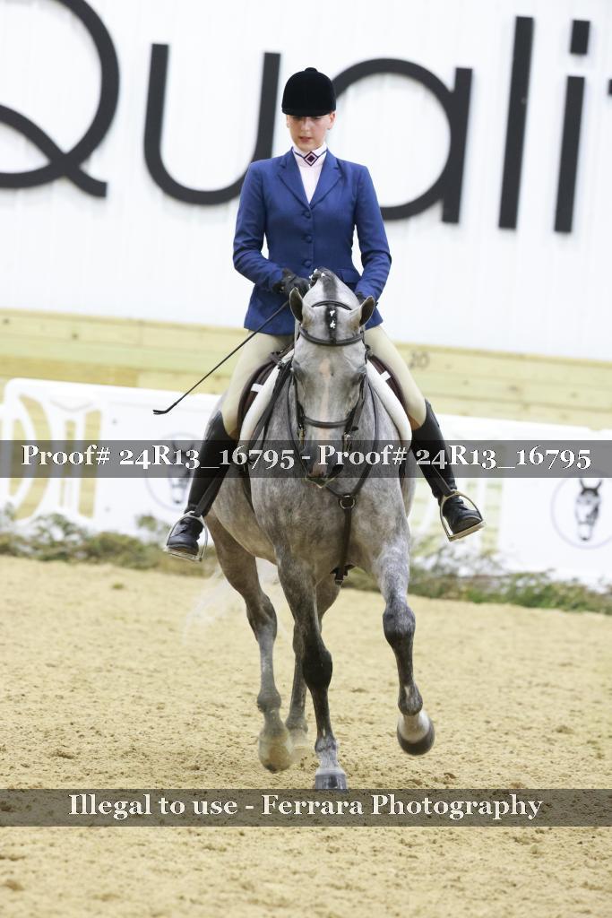 Proof Number 24R13_16795