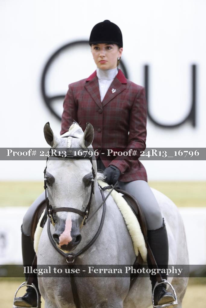 Proof Number 24R13_16796