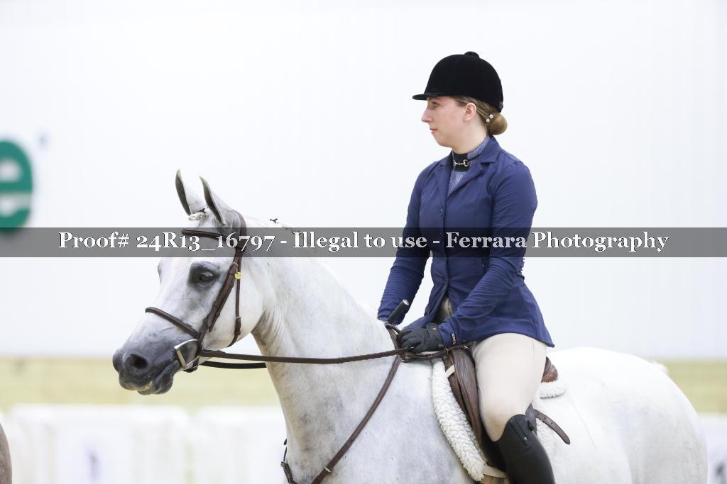 Proof Number 24R13_16797