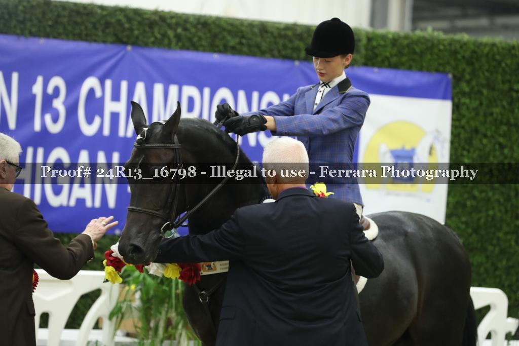 Proof Number 24R13_16798