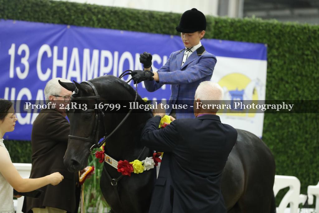 Proof Number 24R13_16799