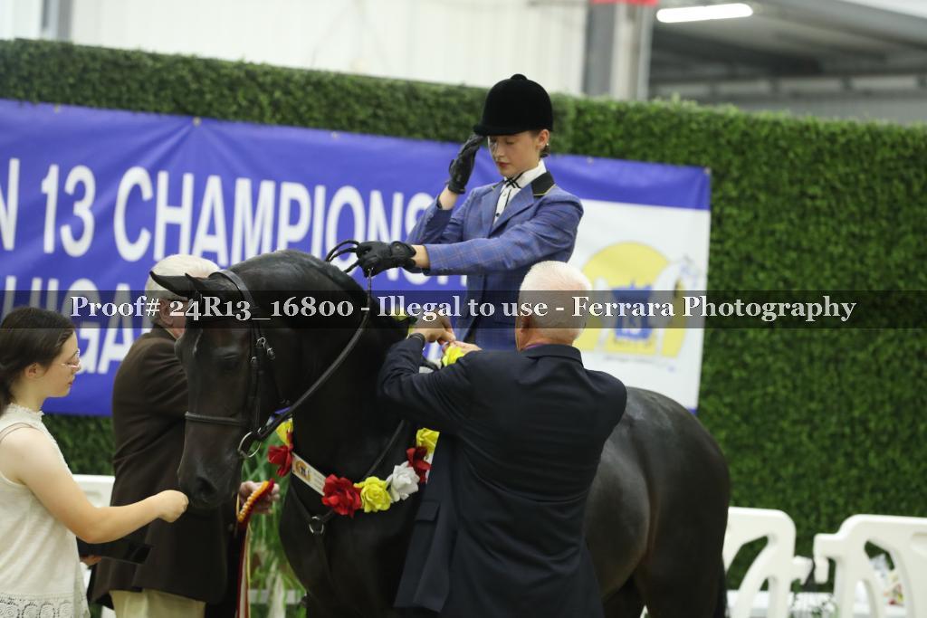 Proof Number 24R13_16800