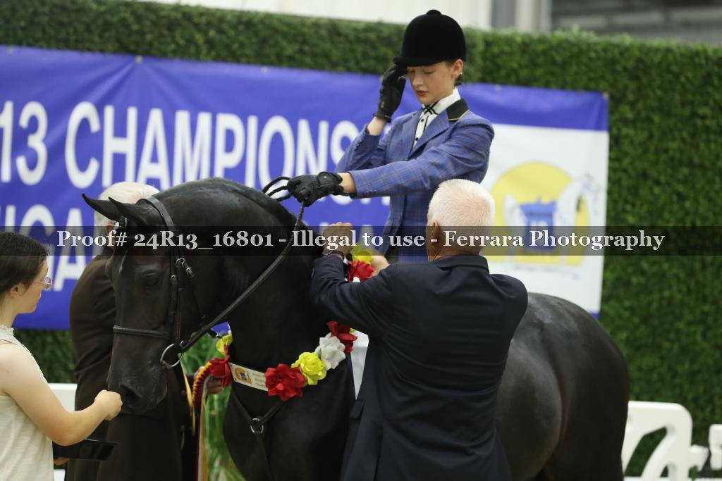 Proof Number 24R13_16801