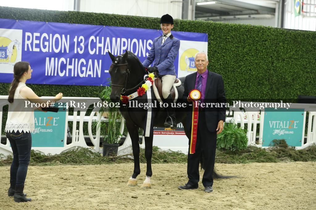 Proof Number 24R13_16802