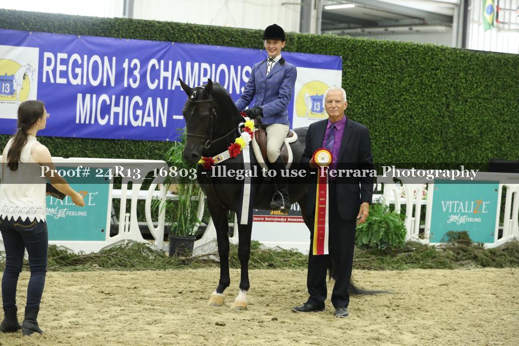 Proof Number 24R13_16803