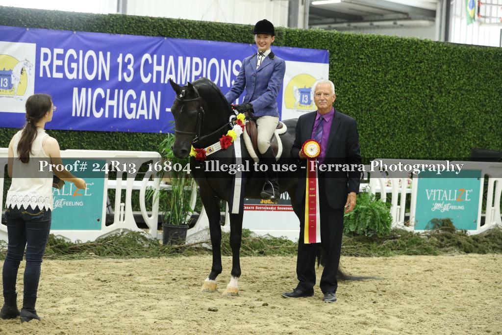 Proof Number 24R13_16804