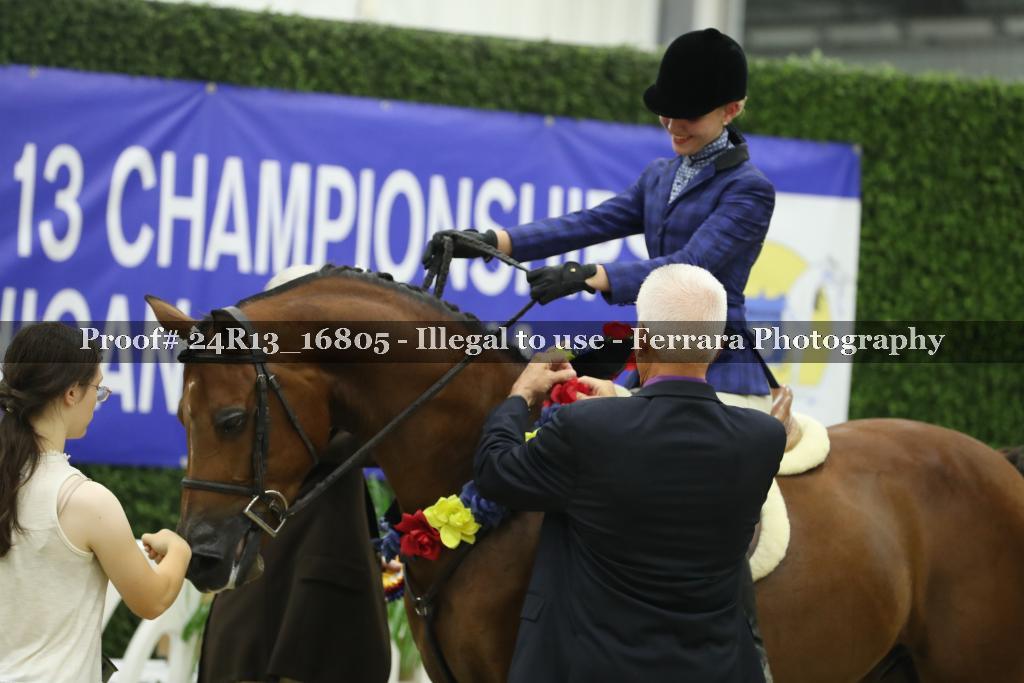 Proof Number 24R13_16805