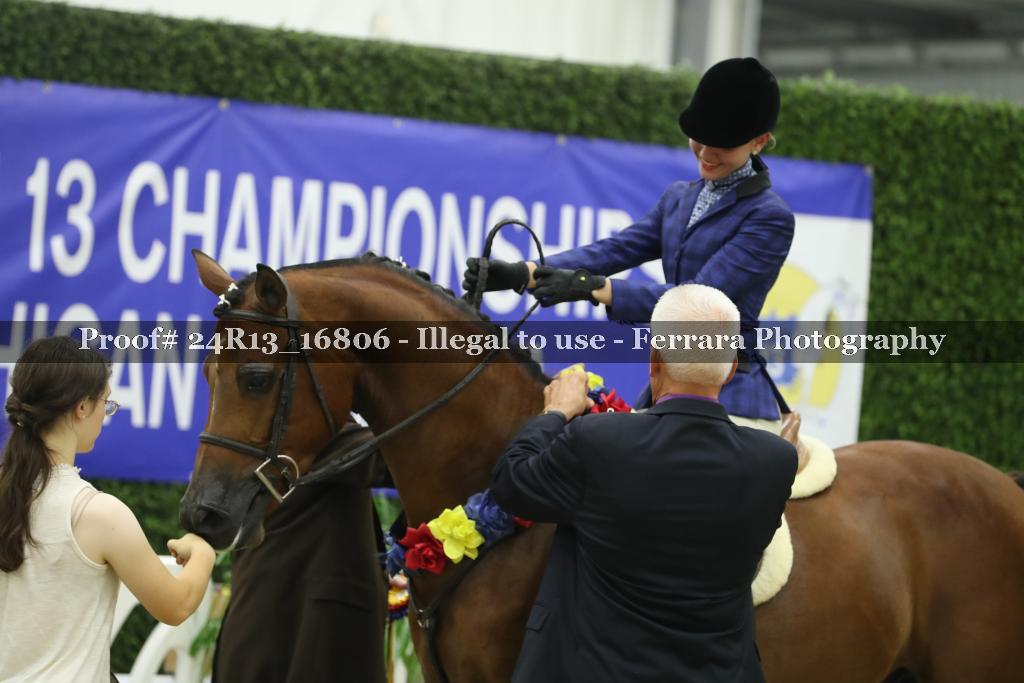 Proof Number 24R13_16806