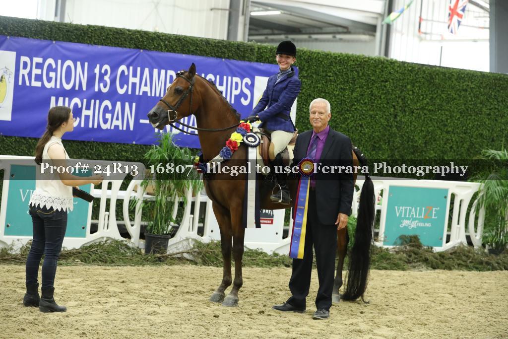 Proof Number 24R13_16807