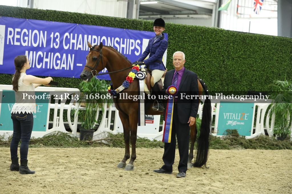 Proof Number 24R13_16808