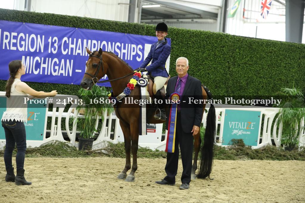 Proof Number 24R13_16809