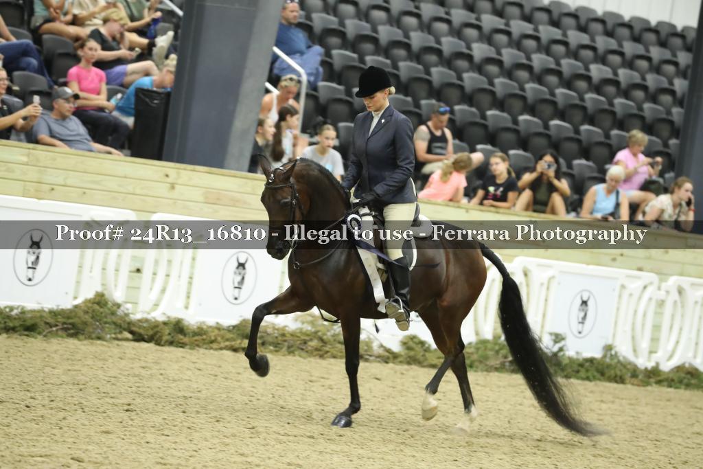 Proof Number 24R13_16810