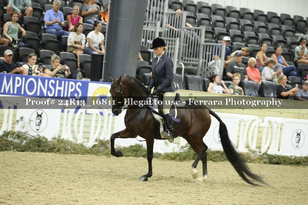 Proof Number 24R13_16811