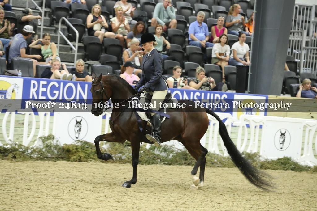 Proof Number 24R13_16812