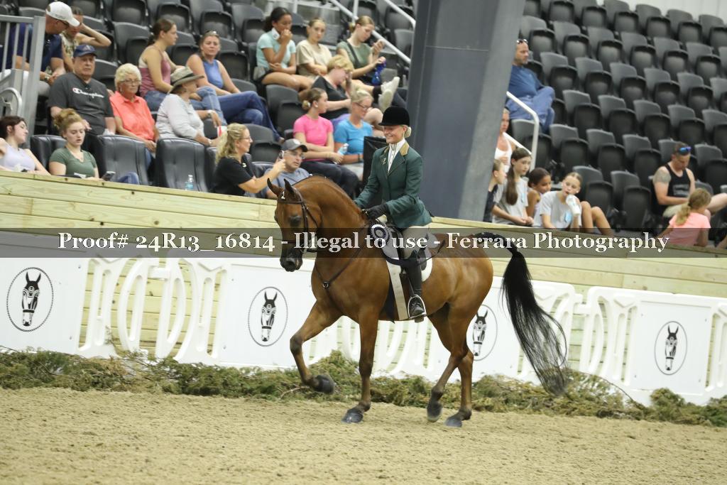 Proof Number 24R13_16814