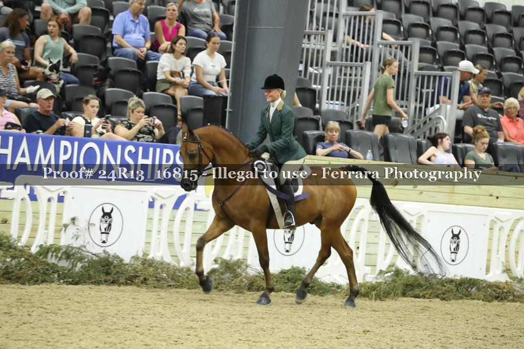 Proof Number 24R13_16815