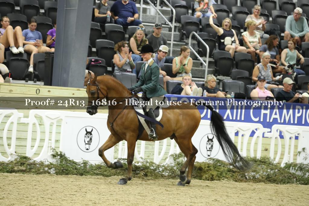 Proof Number 24R13_16816