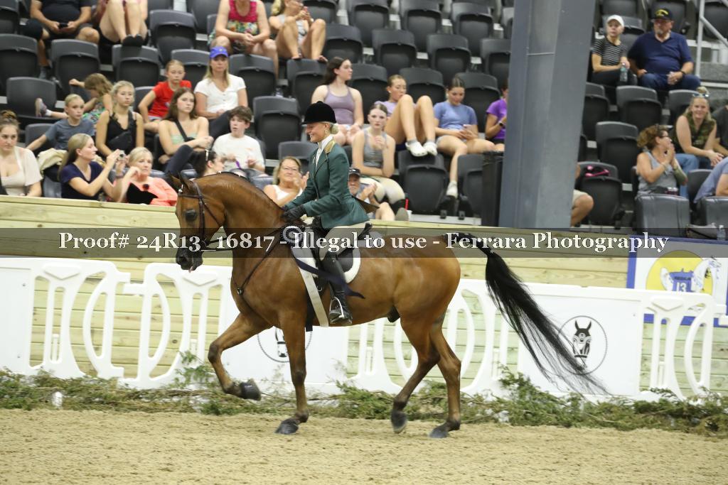 Proof Number 24R13_16817