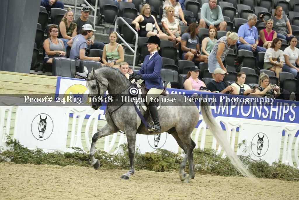 Proof Number 24R13_16818