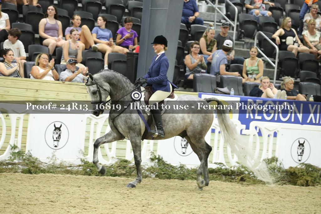 Proof Number 24R13_16819