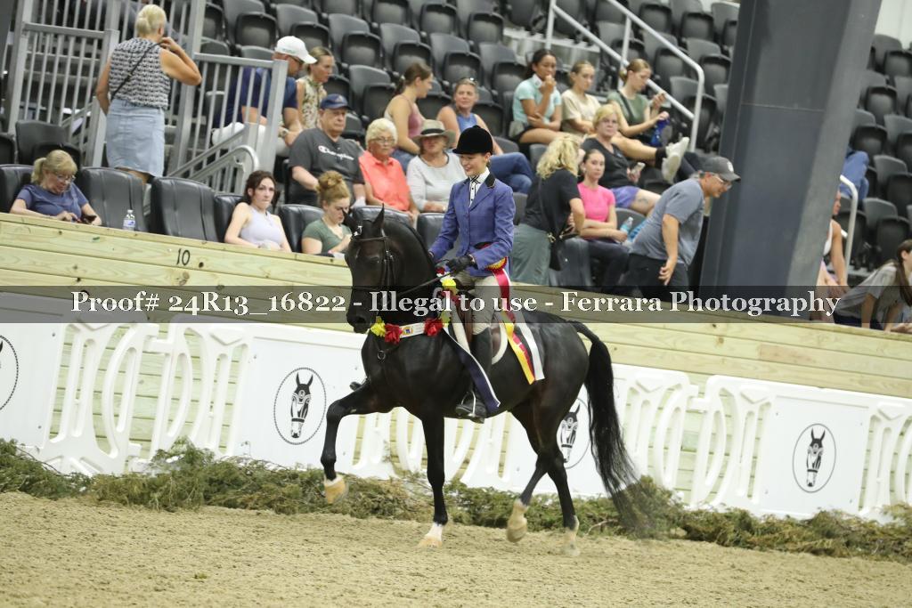 Proof Number 24R13_16822