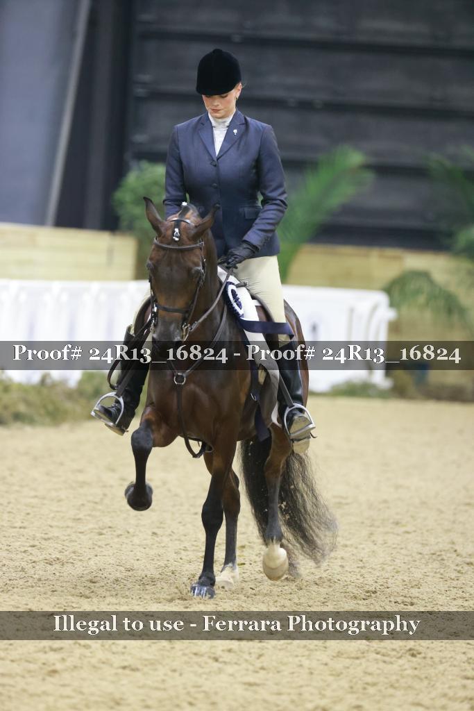 Proof Number 24R13_16824