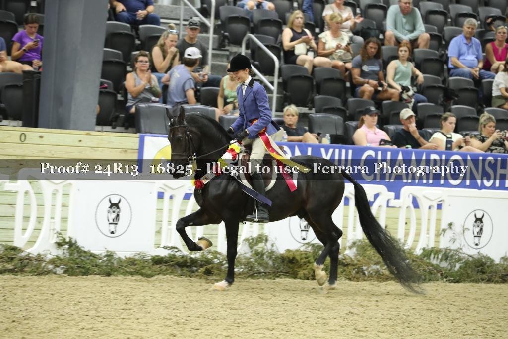 Proof Number 24R13_16825