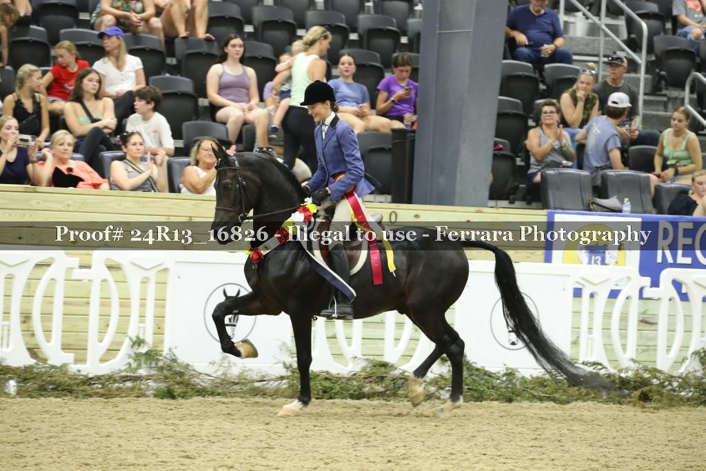 Proof Number 24R13_16826