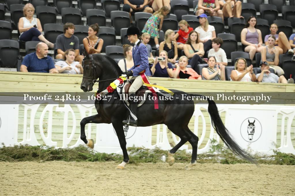 Proof Number 24R13_16827